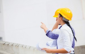 Professional advice and specifications
